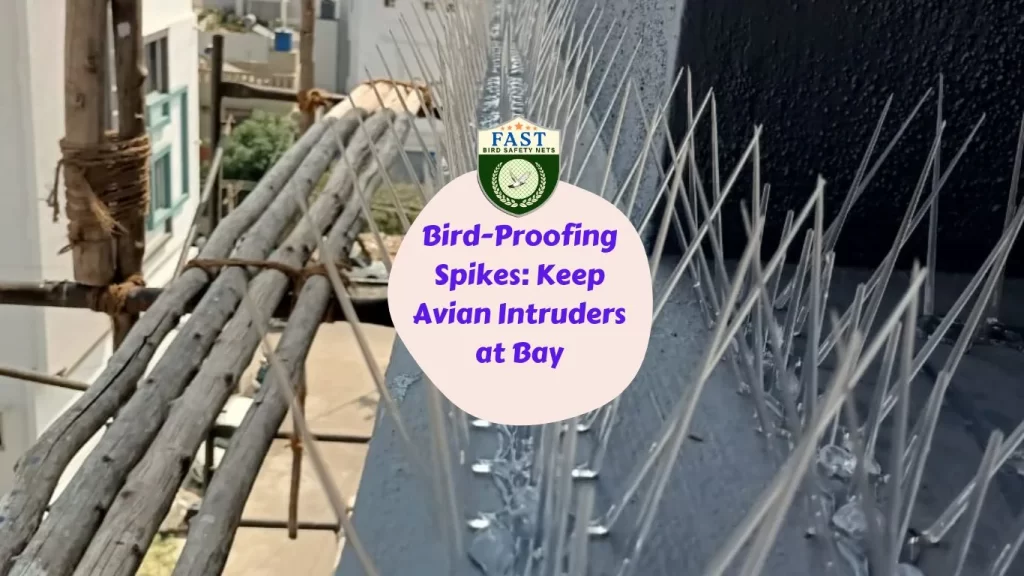 Bird-Proofing Spikes: Keep Avian Intruders at Bay