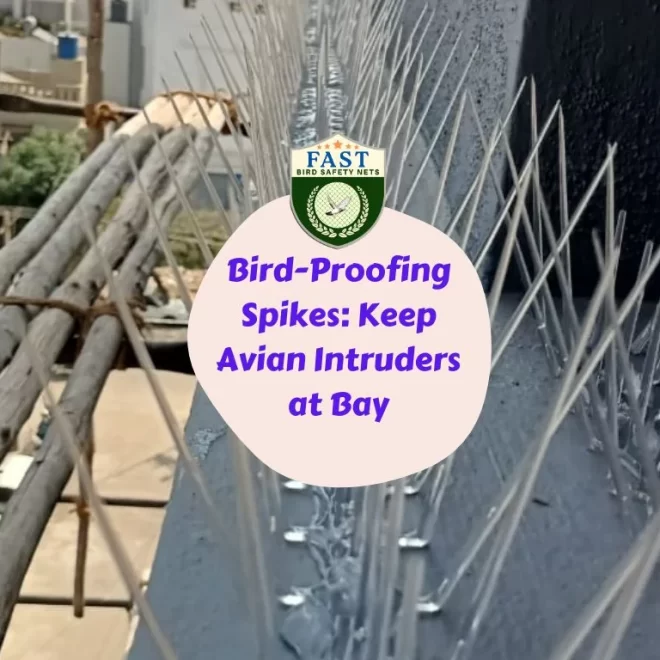 Bird-Proofing Spikes: Keep Avian Intruders at Bay