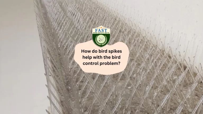 How do Bird Spikes help with the bird control problem?