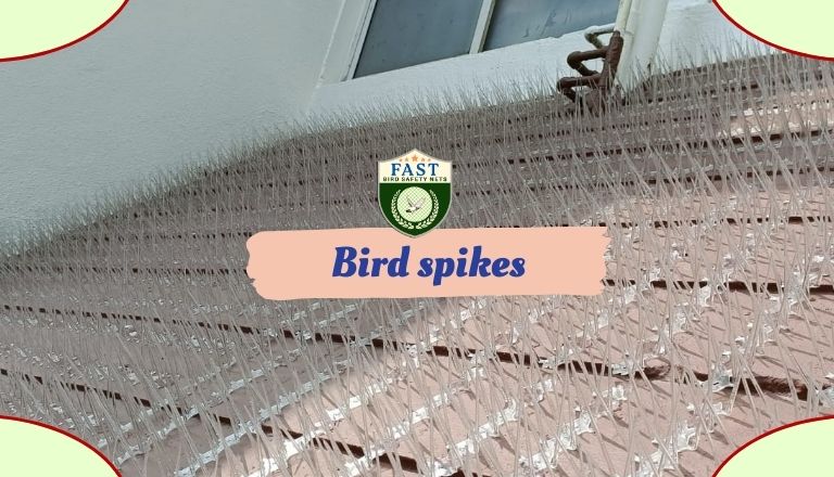 Bird Spikes