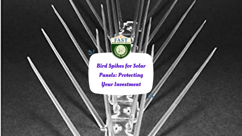 Bird Spikes for Solar Panels: Protecting Your Investment