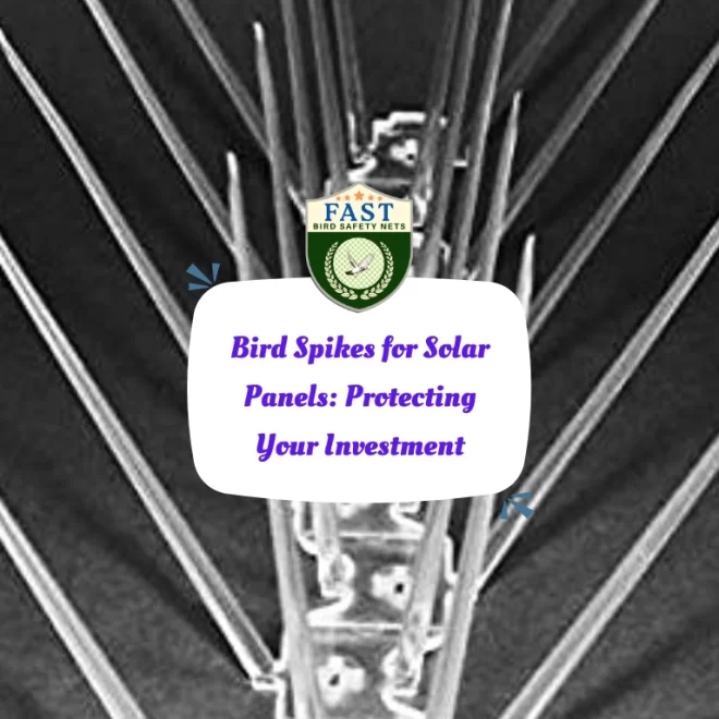 Bird Spikes for Solar Panels: Protecting Your Investment