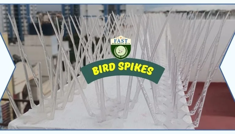 Bird Spikes Fixing