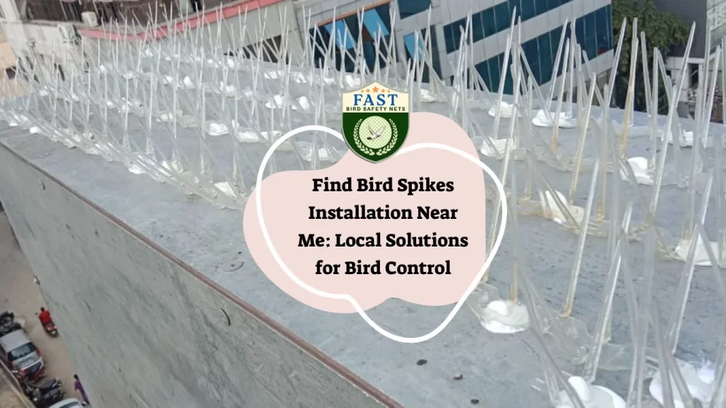 Find Bird Spikes Installation Near Me: Local Solutions for Bird Control