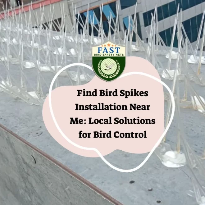Find Bird Spikes Installation Near Me: Local Solutions for Bird Control