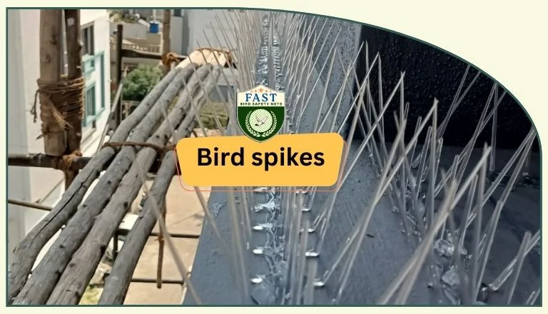 bird spikes installation