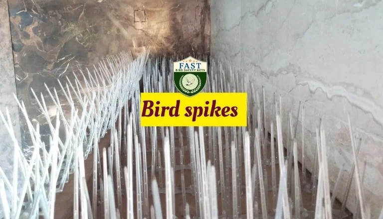 Bird Spikes Fixing