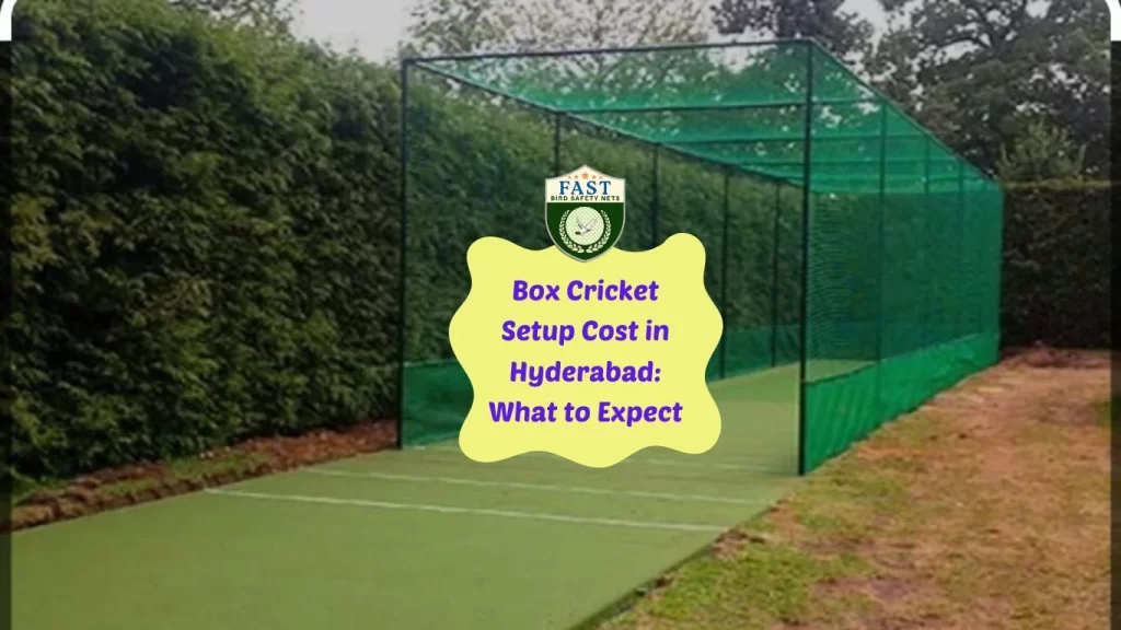 Box Cricket Setup Cost in Hyderabad: What to Expect