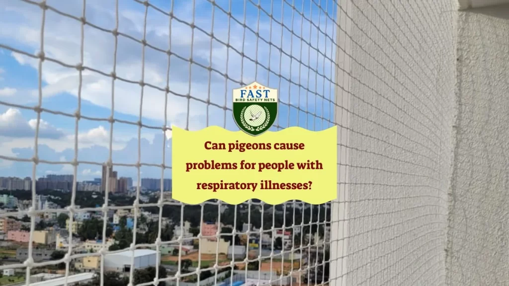 Can pigeons cause problems for people with respiratory illnesses?