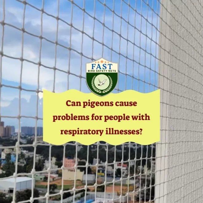 Can pigeons cause problems for people with respiratory illnesses?