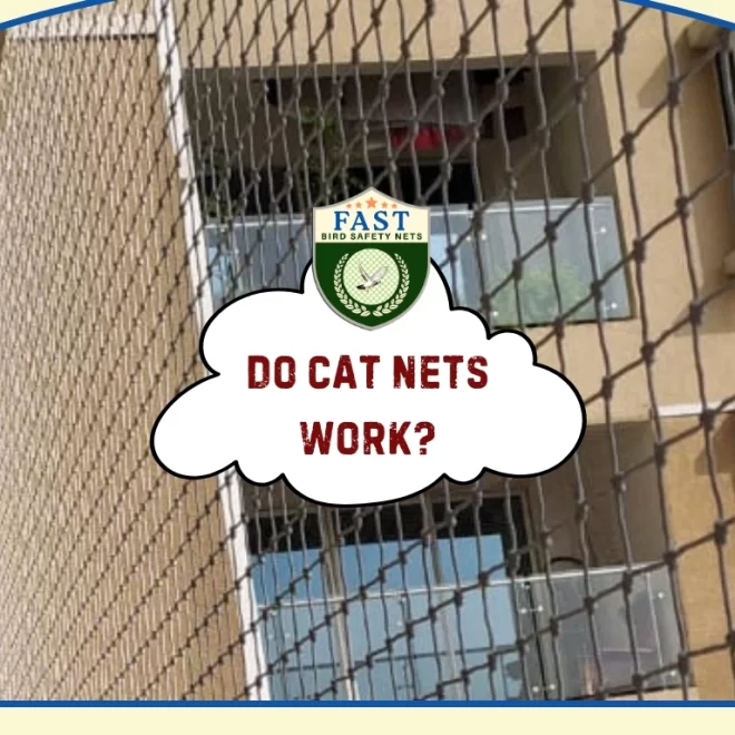 Do cat nets work?