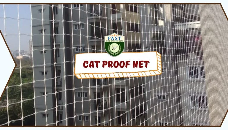 Cat Proof Nets