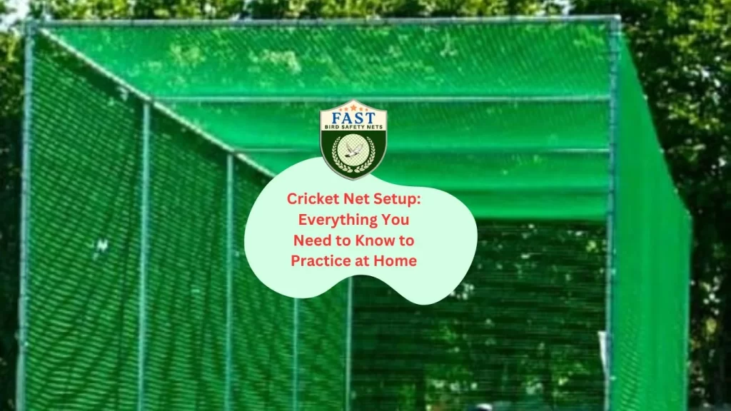 Cricket Net Setup: Everything You Need to Know to Practice at Home