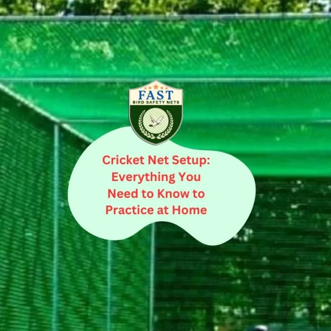 Cricket Net Setup: Everything You Need to Know to Practice at Home