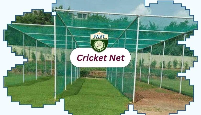 Cricket Net