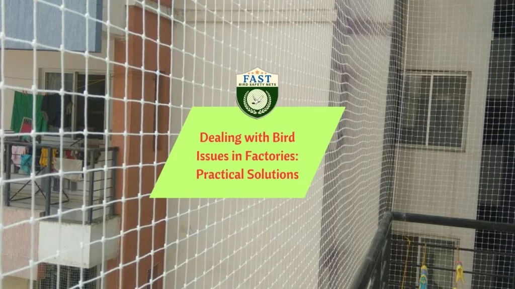 Dealing with Bird Issues in Factories: Practical Solutions