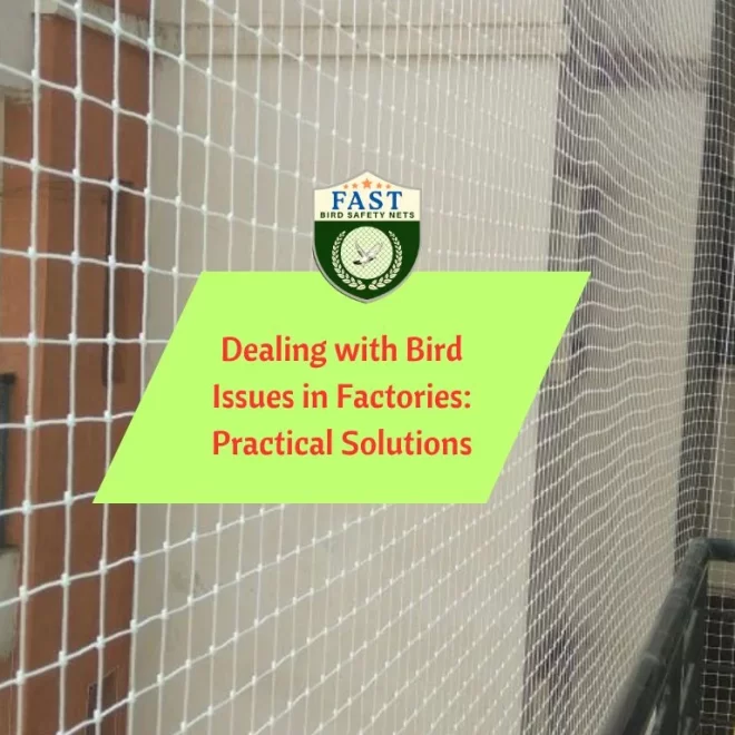 Dealing with Bird Issues in Factories: Practical Solutions