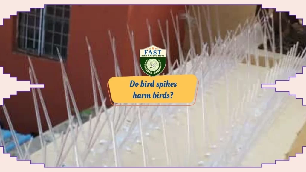 Do bird spikes harm birds?