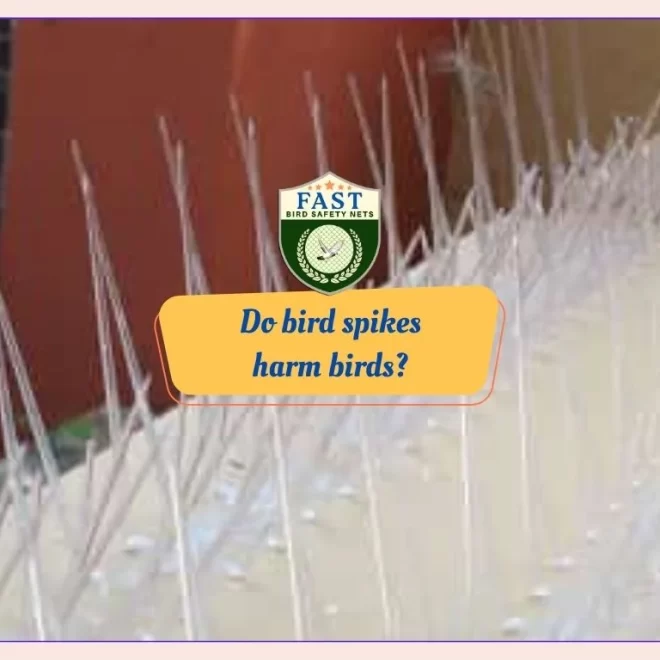 Do bird spikes harm birds?