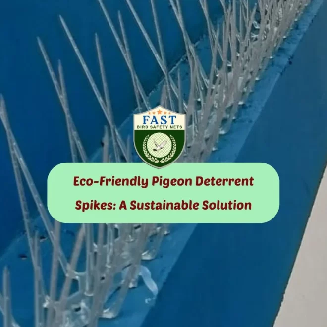 Eco-Friendly Pigeon Deterrent Spikes: A Sustainable Solution