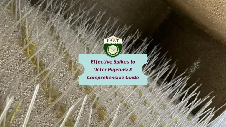 Effective Spikes to Deter Pigeons: A Comprehensive Guide