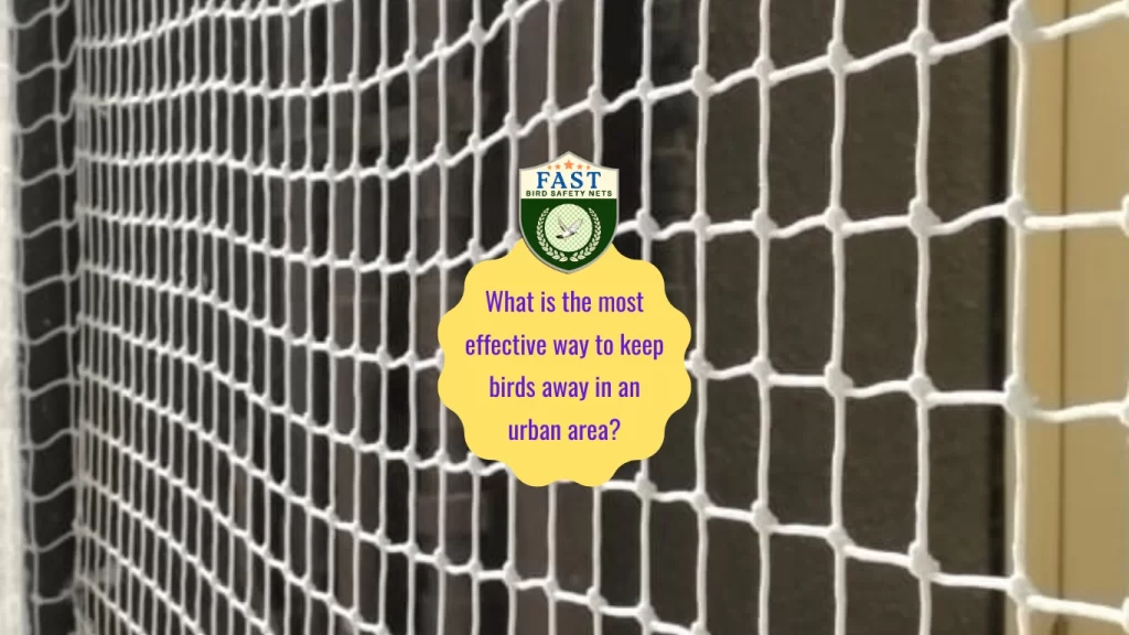 bird netting service