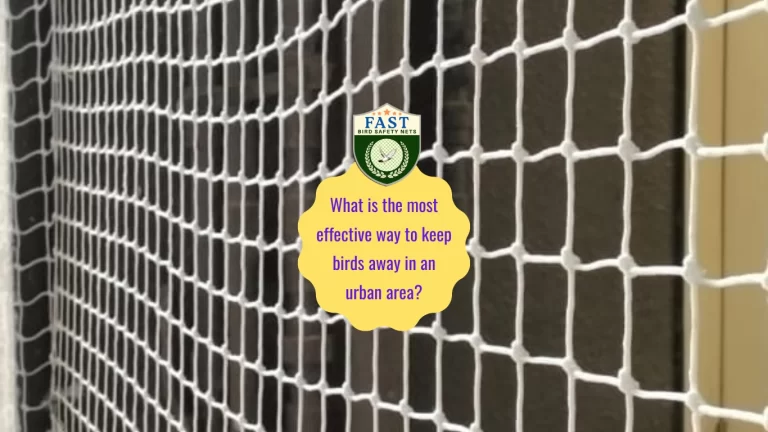 What is the most effective way to keep birds away in an urban area?