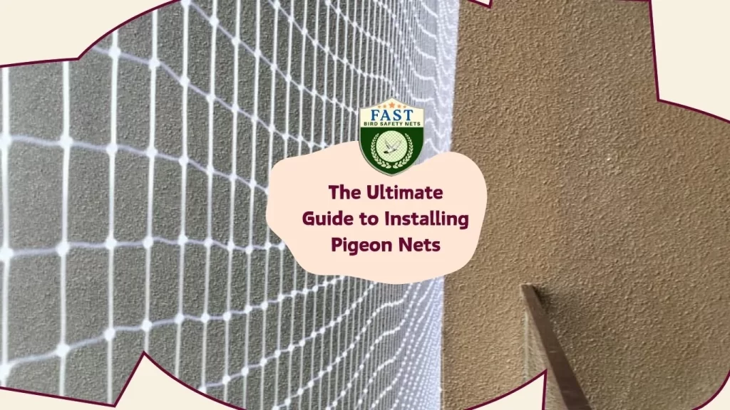 The Ultimate Guide to Installing Pigeon Nets