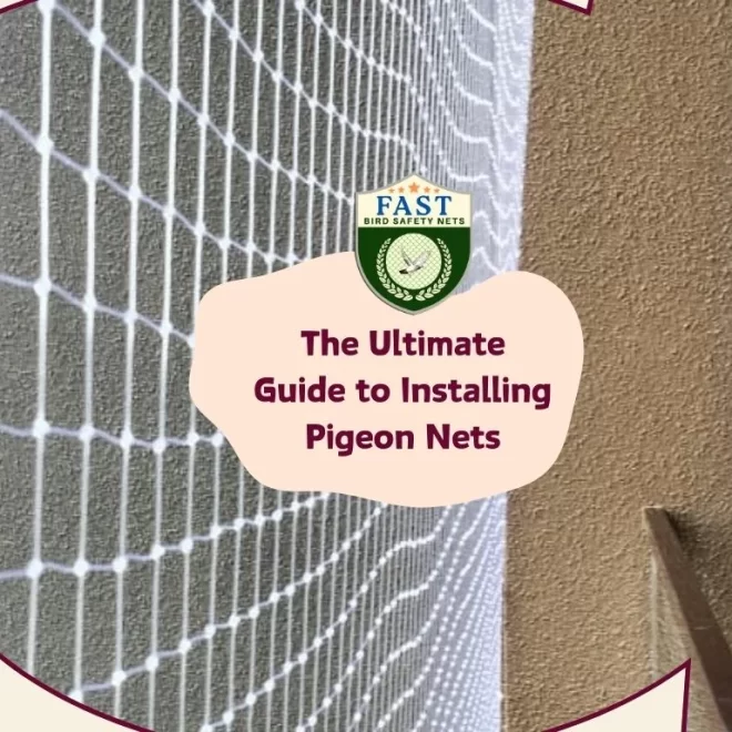 The Ultimate Guide to Pigeon Net Installation