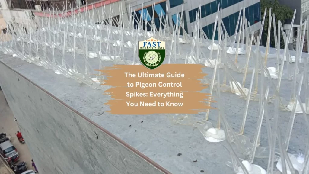 The Ultimate Guide to Pigeon Control Spikes: Everything You Need to Know