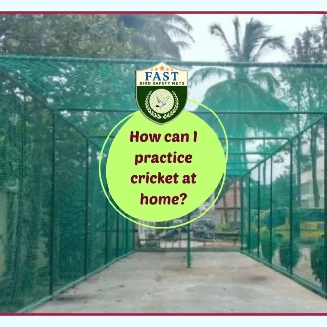 How can I practice cricket at home?