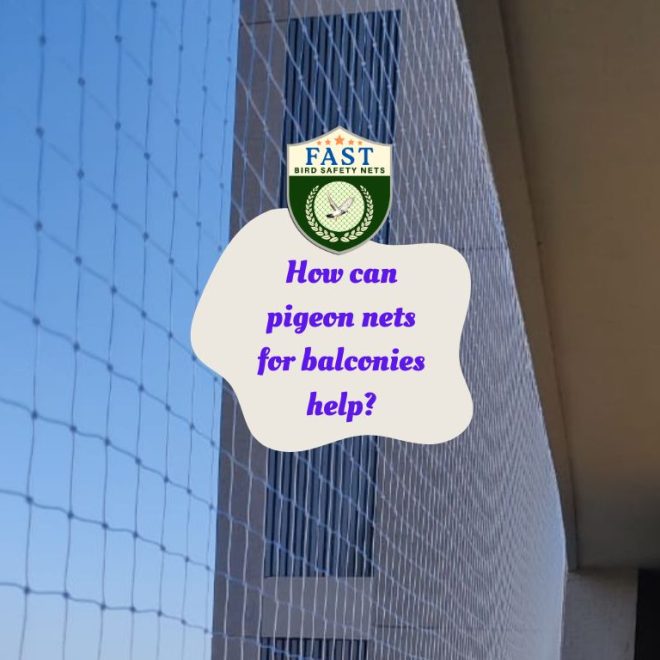 How can pigeon nets for balconies help?
