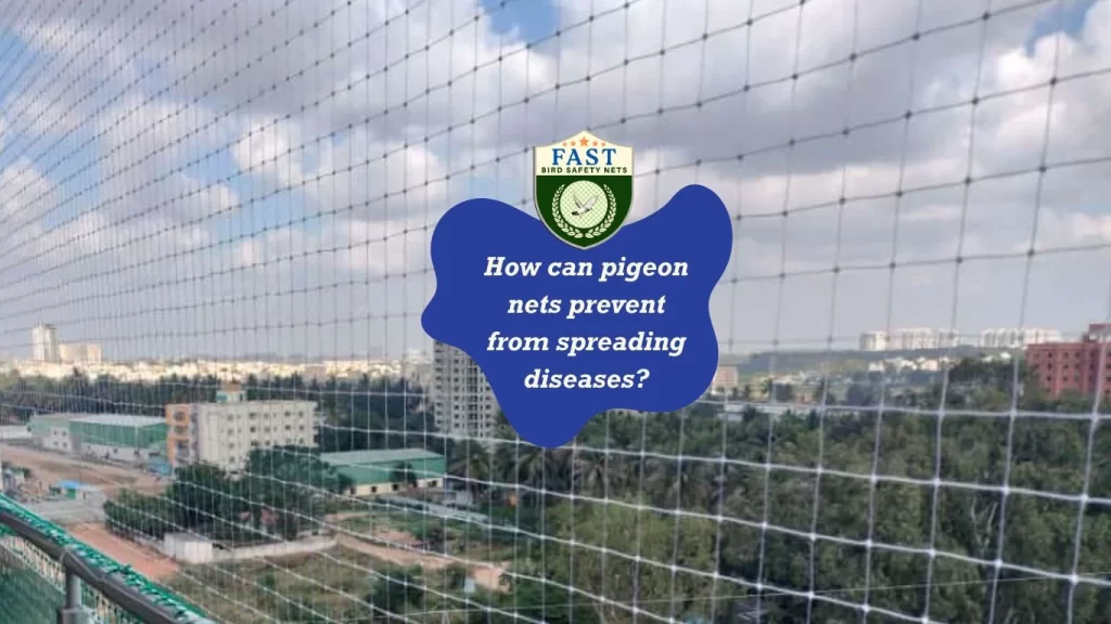 How can pigeon nets prevent from spreading diseases?