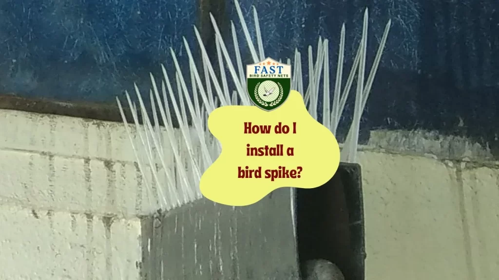 How do I install a bird spike?