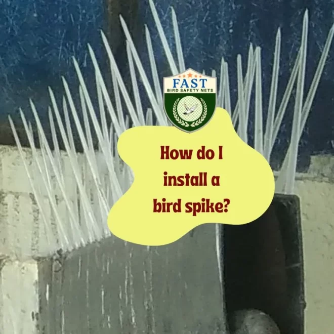 How do I install a bird spike?