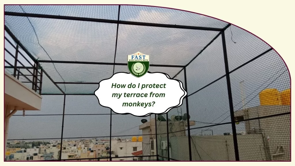 How do I protect my terrace from monkeys?