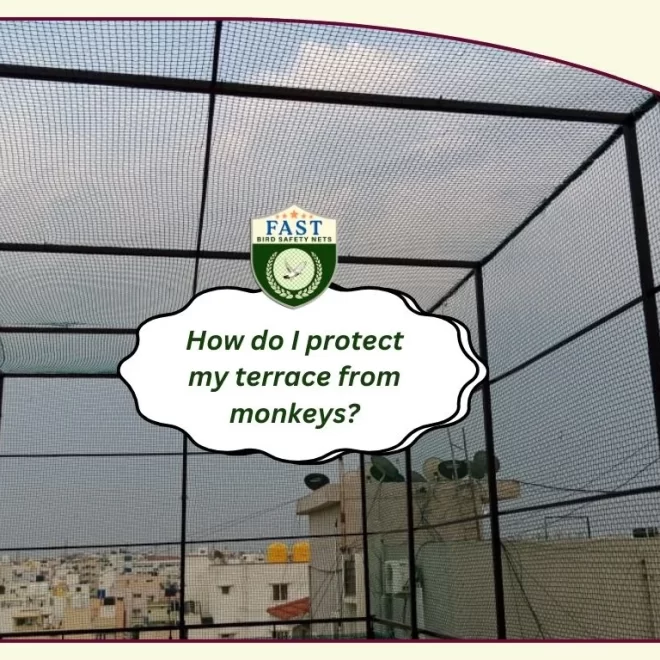 How do I protect my terrace from monkeys?