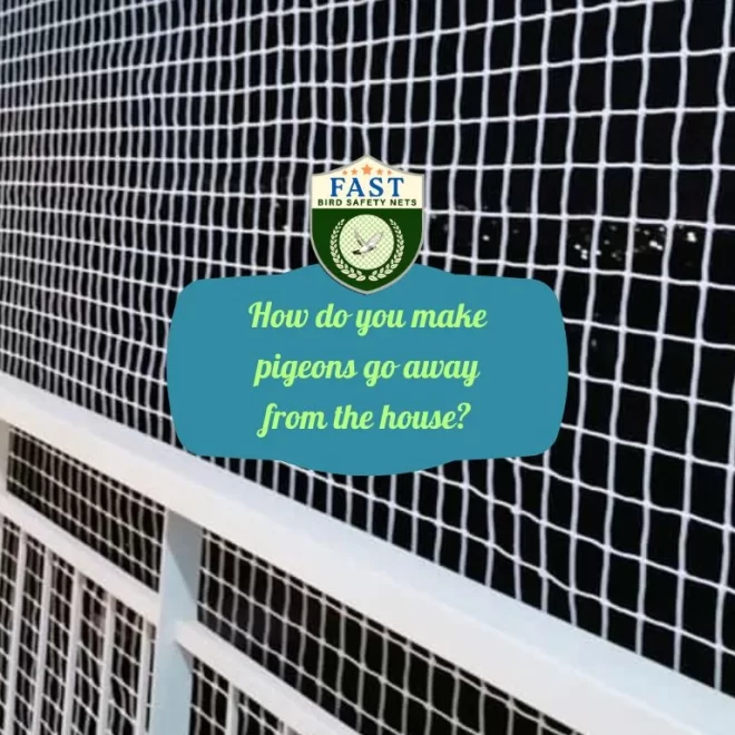 How do you make pigeons go away from the house?