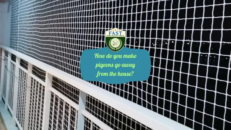 How do you make pigeons go away from the house?