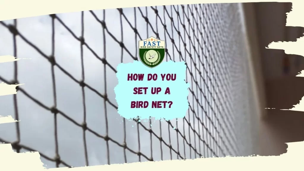 How do you set up a bird net?