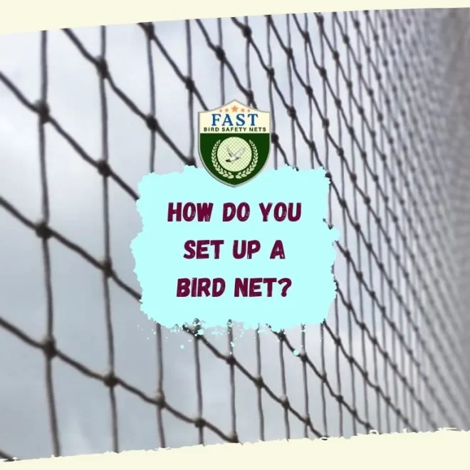 How do you set up a bird net?