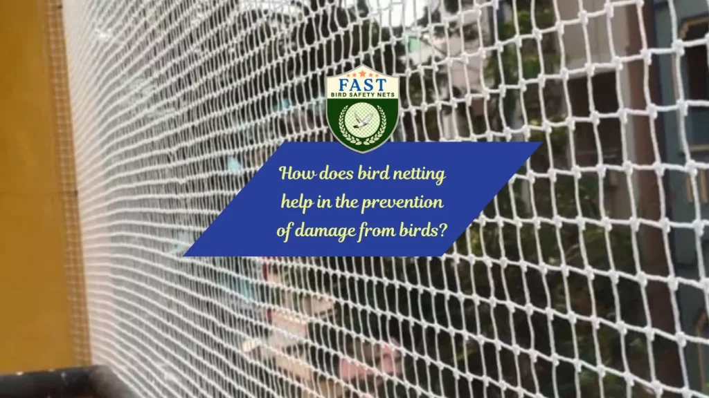 How does bird netting help in the prevention of damage from birds?