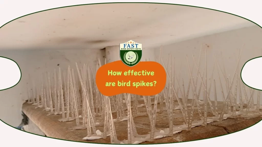 How effective are bird spikes?