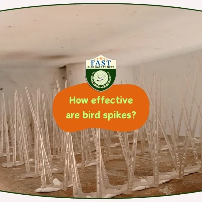 How effective are bird spikes?