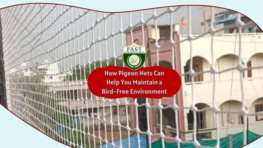 How Pigeon Nets Can Help You Maintain a Bird-Free Environment