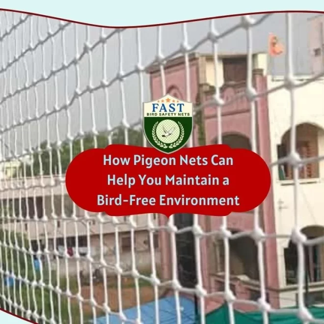 How Pigeon Nets Can Help You Maintain a Bird-Free Environment