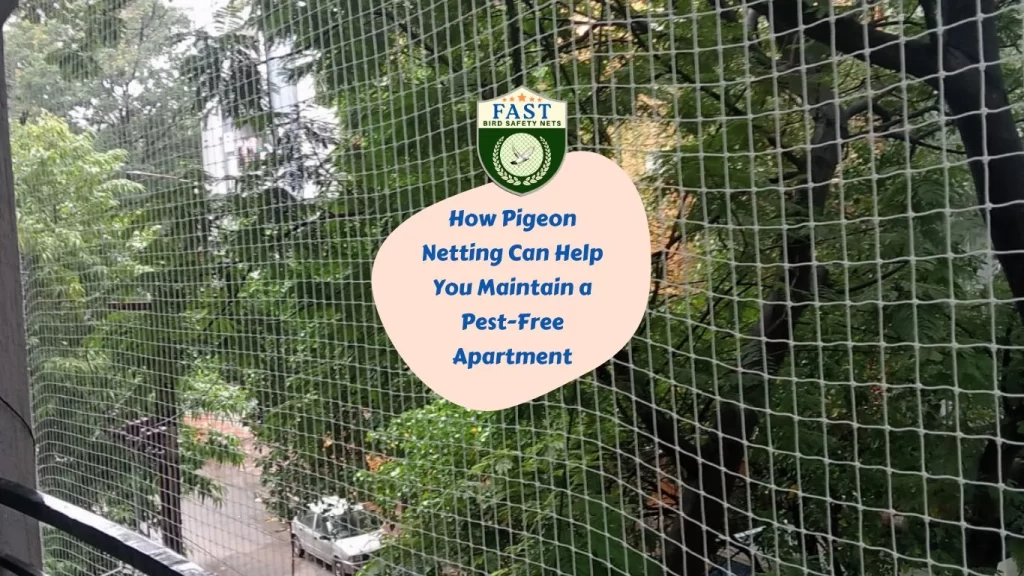 How Pigeon Netting Can Help You Maintain a Pest-Free Apartment