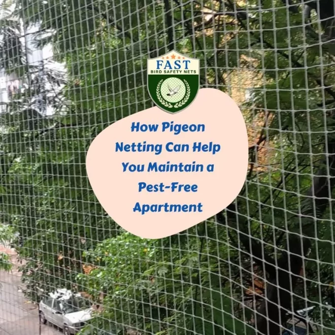 How Pigeon Netting Can Help You Maintain a Pest-Free Apartment