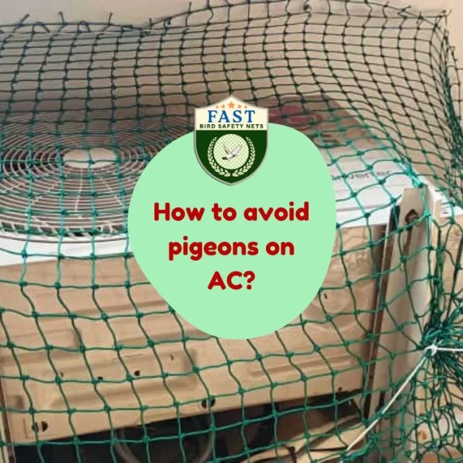 How to avoid pigeons on AC?