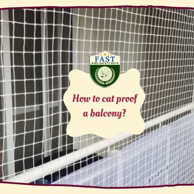 How to cat proof a balcony?